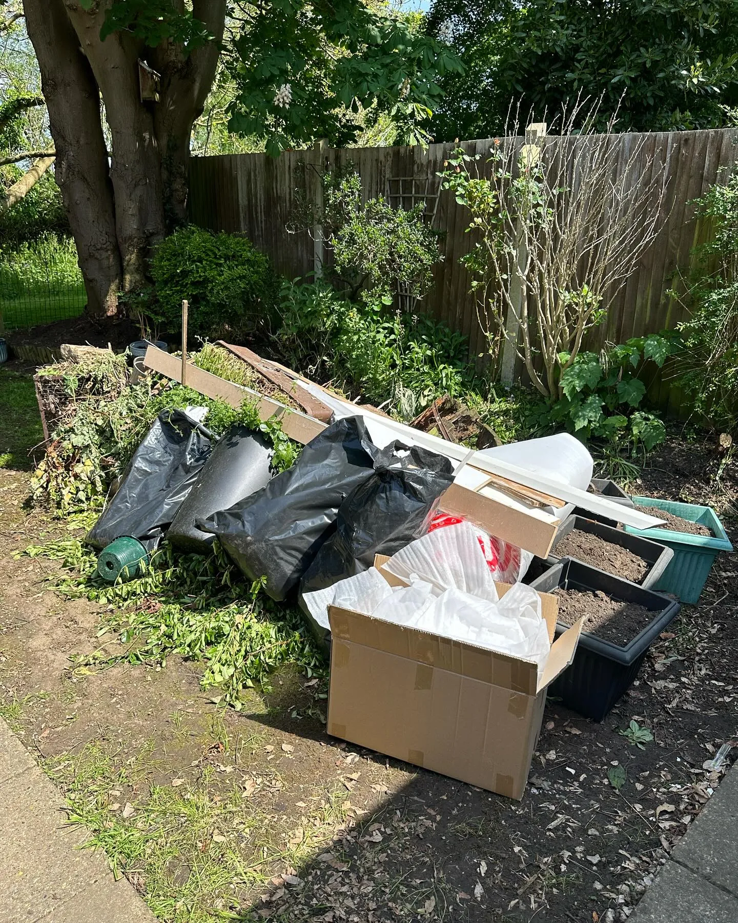 A pile of garbage sitting next to a tree.