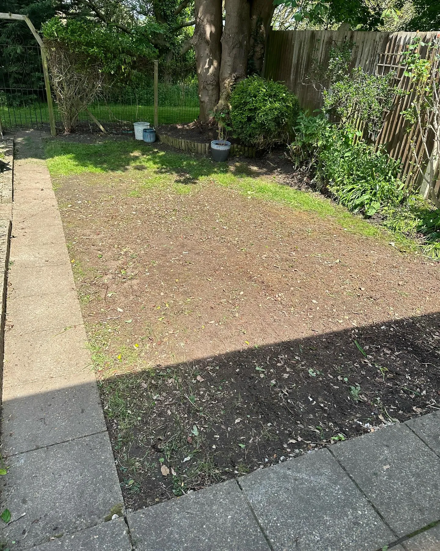 A yard with a tree and fence in the background.