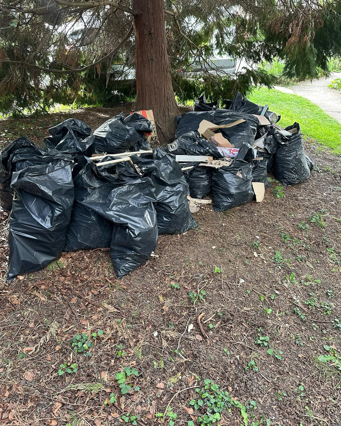 A pile of trash bags sitting next to a tree.
