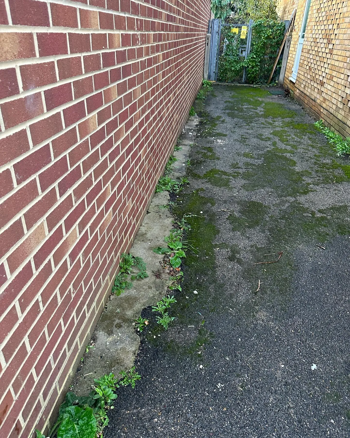 A brick wall next to a sidewalk with weeds growing on it.