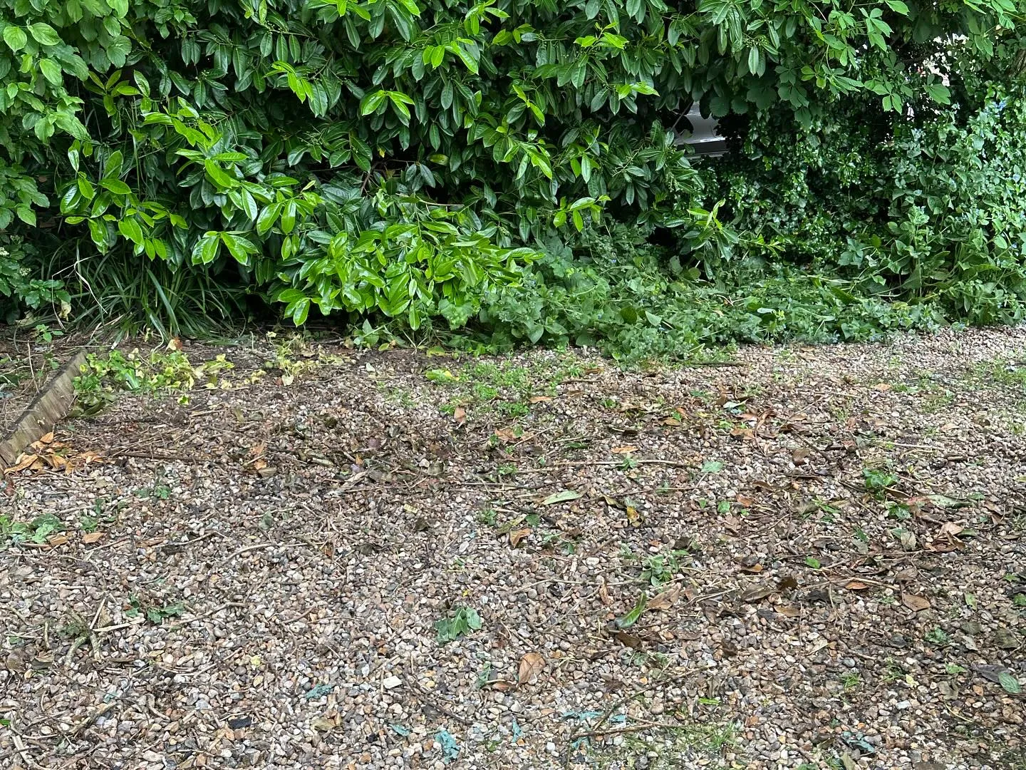 A fire hydrant sitting in the middle of a field.